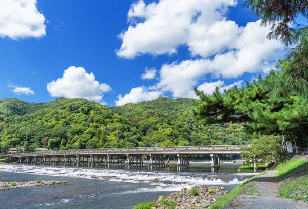 【大阪市内エリア発】 ゴールデンウィークに行く!新緑きらめく嵯峨野トロッコ列車 日帰り2